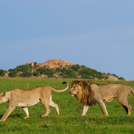 Nkomazi Game Reserve By Newmark Badplaas Buitenkant foto