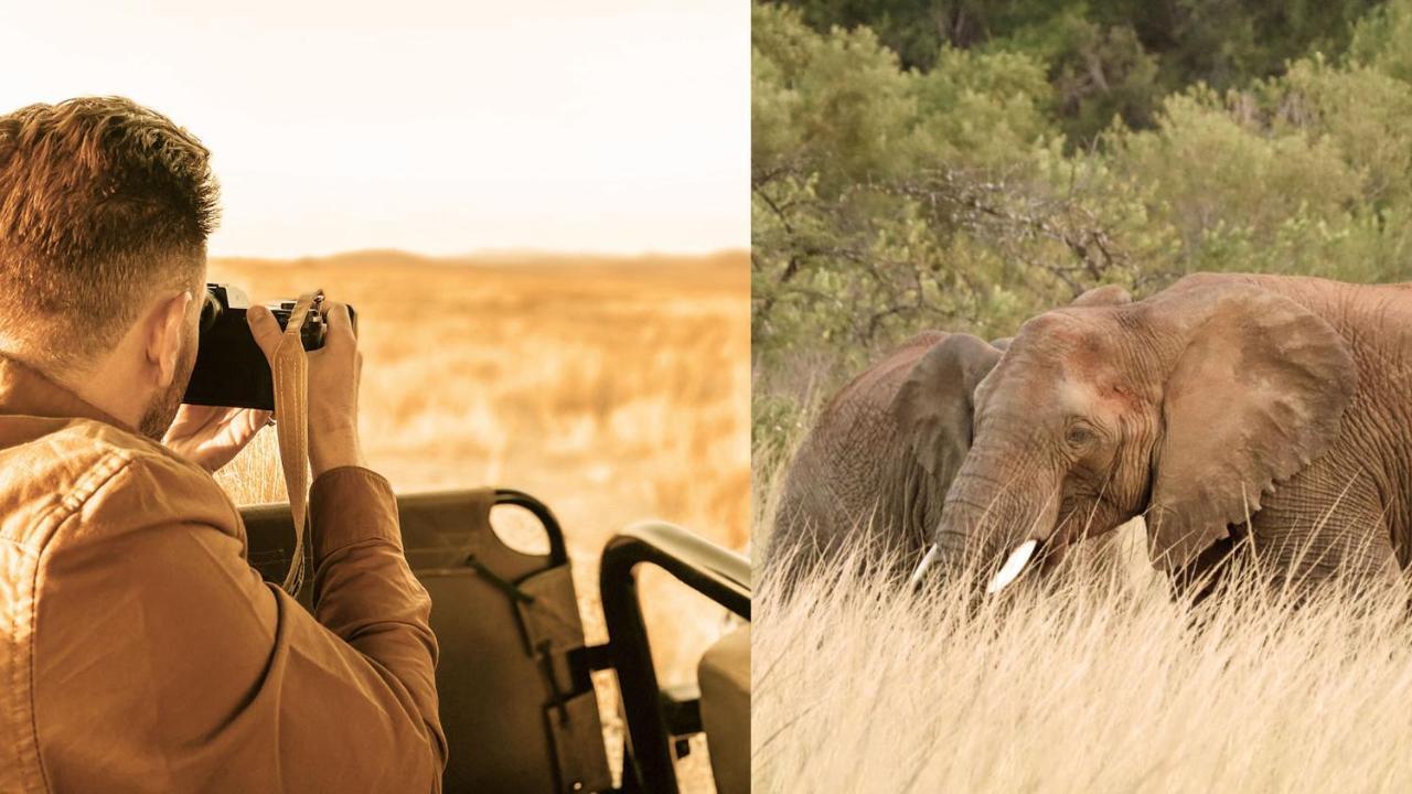 Nkomazi Game Reserve By Newmark Badplaas Buitenkant foto