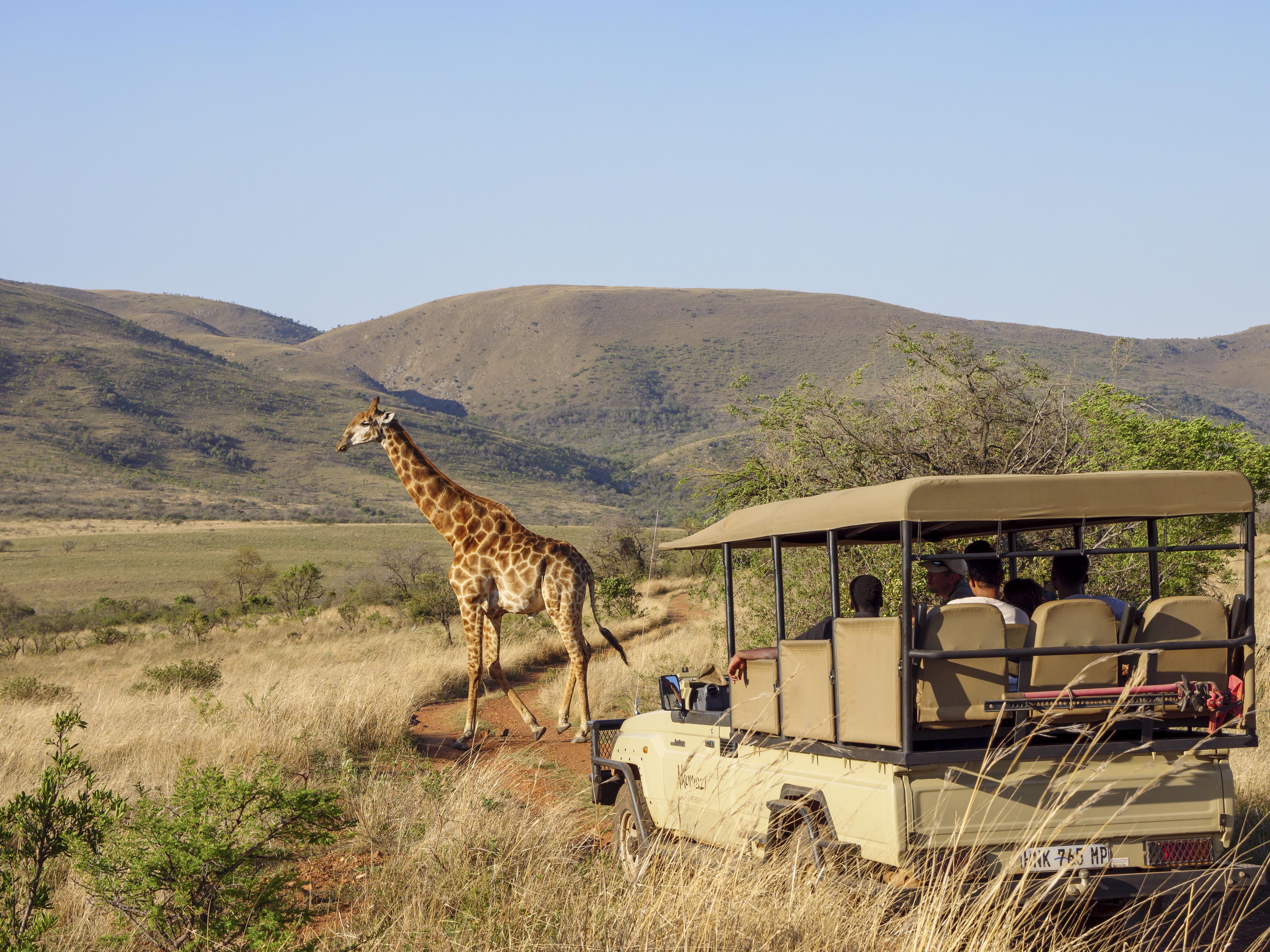 Nkomazi Game Reserve By Newmark Badplaas Buitenkant foto